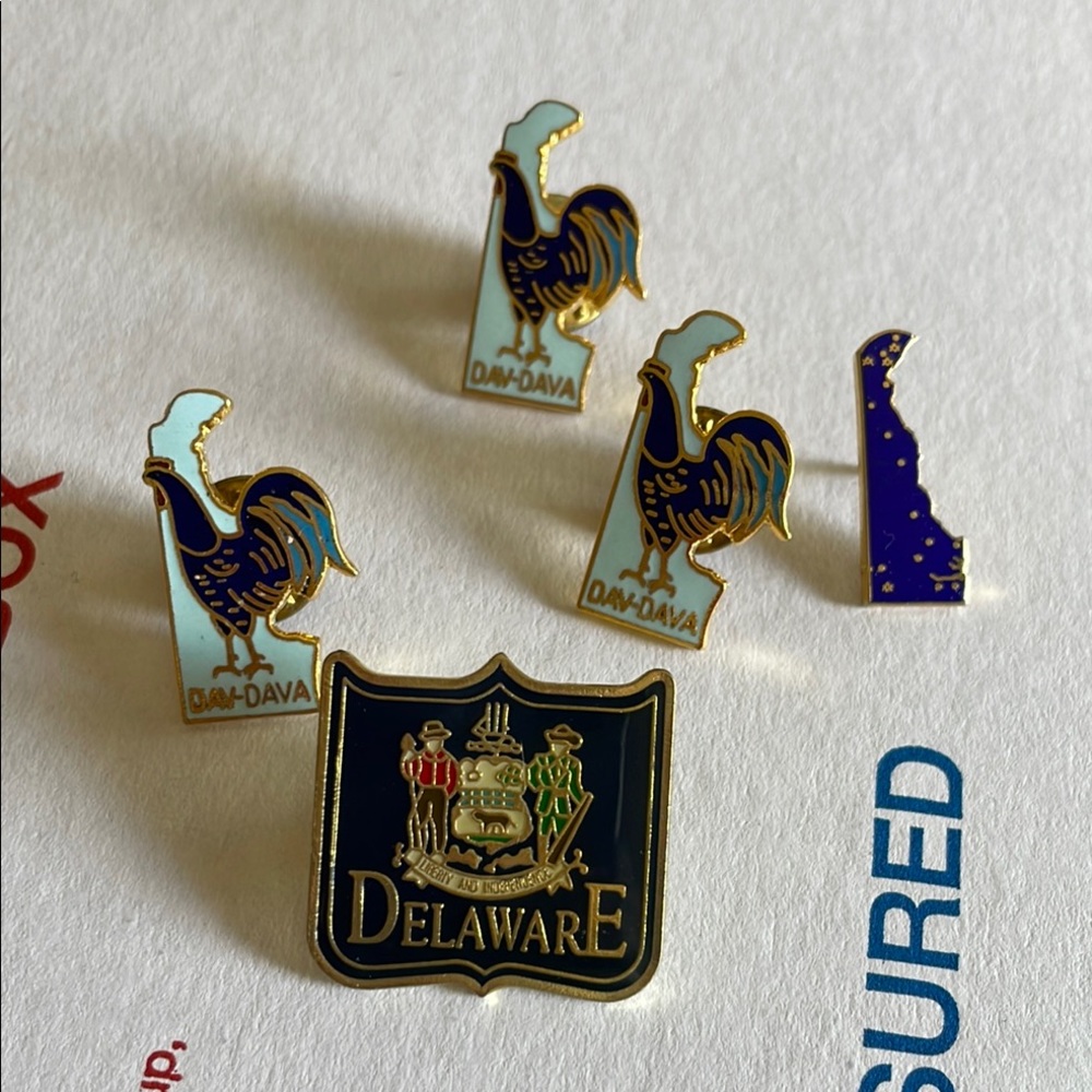 Bundle of 5 Delaware Themsed Pins‎